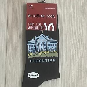 NEW Culture Sock Three Branches of Government 3 Mismatched Socks - Size Med